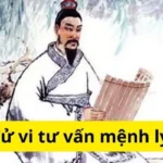 Tử vi tư vấn mệnh lý là gì?