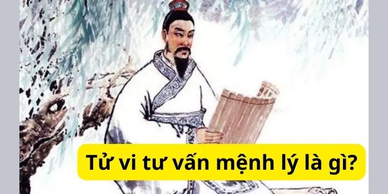 Tử vi tư vấn mệnh lý là gì?