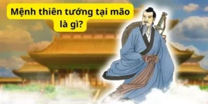 Mệnh thiên tướng tại mão là gì?