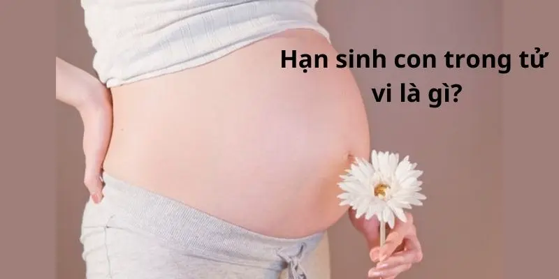 Hạn sinh con trong tử vi là gì?