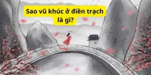 Sao vũ khúc ở điền trạch là gì?