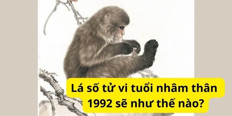 Lá số tử vi tuổi nhâm thân 1992 sẽ như thế nào?