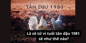 Lá số tử vi tuổi tân dậu 1981 sẽ như thế nào?