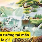 Mệnh thiên tướng tại mão là gì?